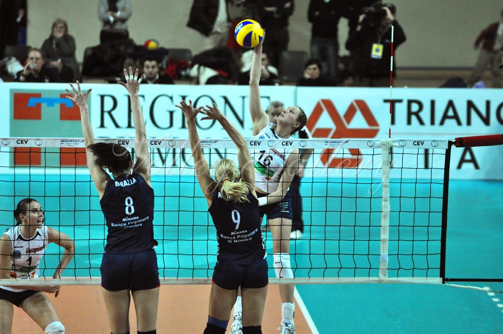 Asystel NO Muszynianka (09)